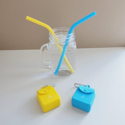 Food Grade Silicone Straw with Carrying Case